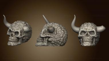 3D model Cranio	 (STL)